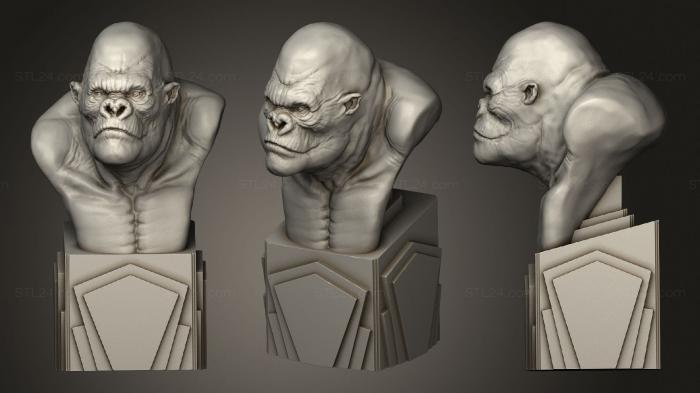 Busts of heroes and monsters (Kingkong, BUSTH_1427) 3D models for cnc