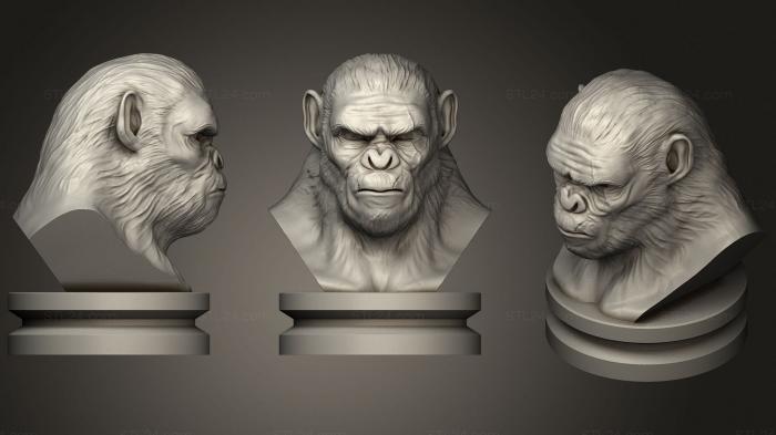 Busts of heroes and monsters (Koba Monkey, BUSTH_1432) 3D models for cnc