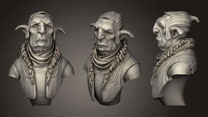 Busts of heroes and monsters (Laikata the Goblin, BUSTH_1450) 3D models for cnc