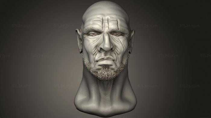 Бюсты монстры и герои (Мужская Голова, BUSTH_1481) 3D модель для ЧПУ станка