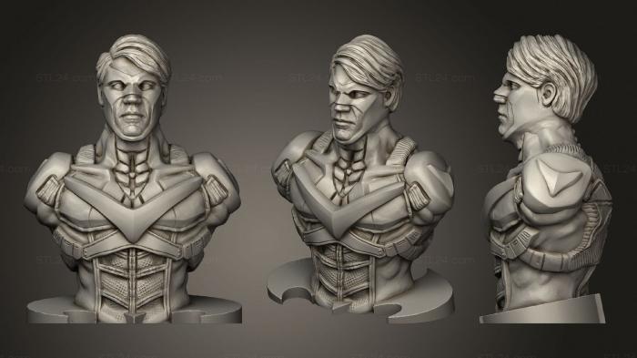 Busts of heroes and monsters (Nightwing, BUSTH_1553) 3D models for cnc