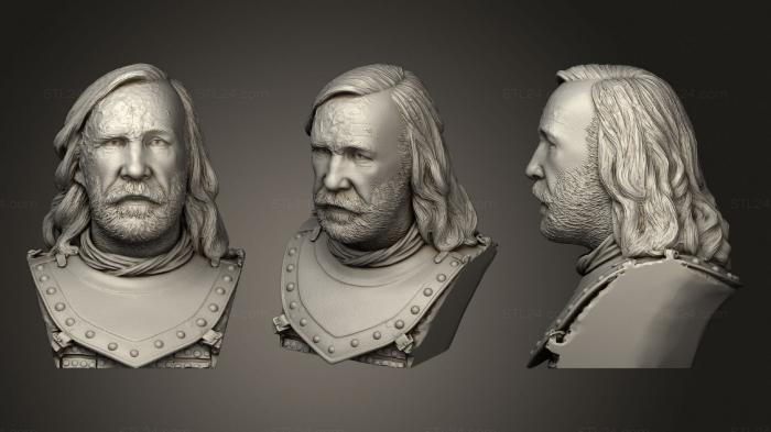 Busts of heroes and monsters (Sandor Clegane, BUSTH_1641) 3D models for cnc