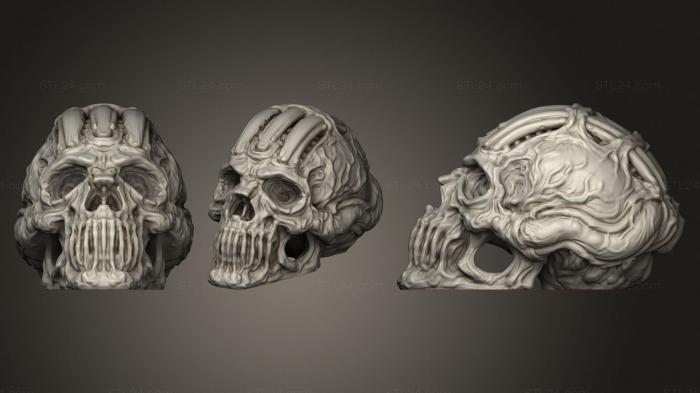 Busts of heroes and monsters (Scorn Skull, BUSTH_1653) 3D models for cnc