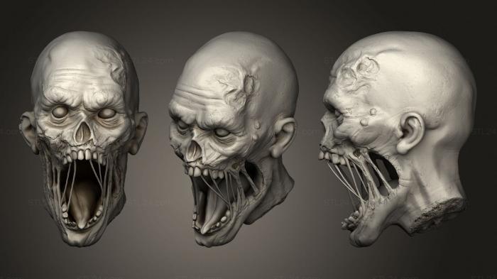 Zombie Head 1