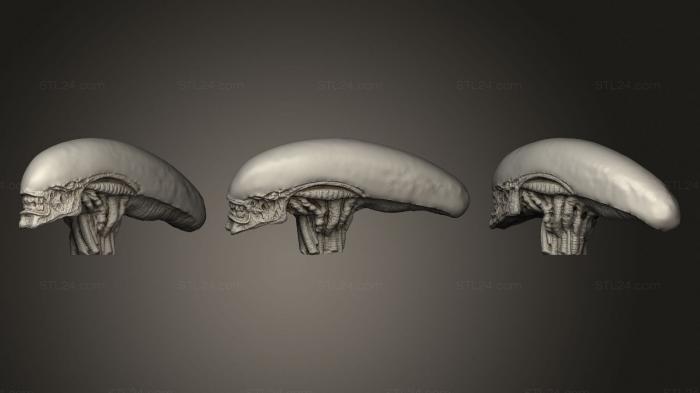Busts of heroes and monsters (Alien Head 7, BUSTH_1885) 3D models for cnc