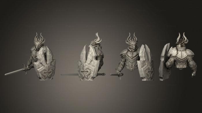 Busts of heroes and monsters (Bust Altair Dragonborn Paladin, BUSTH_1958) 3D models for cnc
