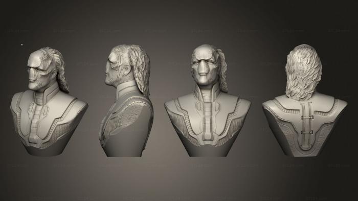 Busts of heroes and monsters (Hero Chess Black Cat 003, BUSTH_2093) 3D models for cnc