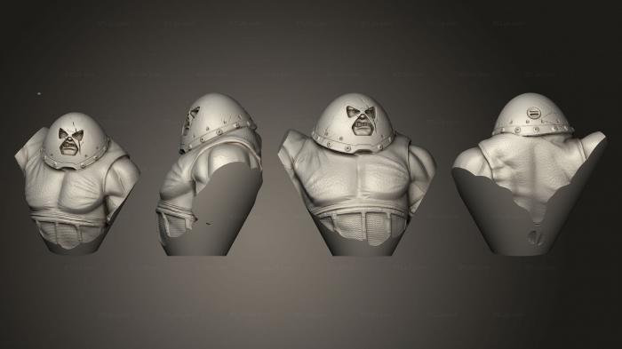 Busts of heroes and monsters (Hero Chess Black Cat 004, BUSTH_2094) 3D models for cnc