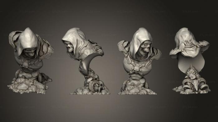 Busts of heroes and monsters (skeletor, BUSTH_2201) 3D models for cnc