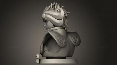 Busts of heroes and monsters (Aiolia Sekai, BUSTH_2276) 3D models for cnc