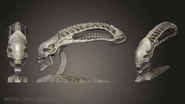 alien vs predator skull xenomorph