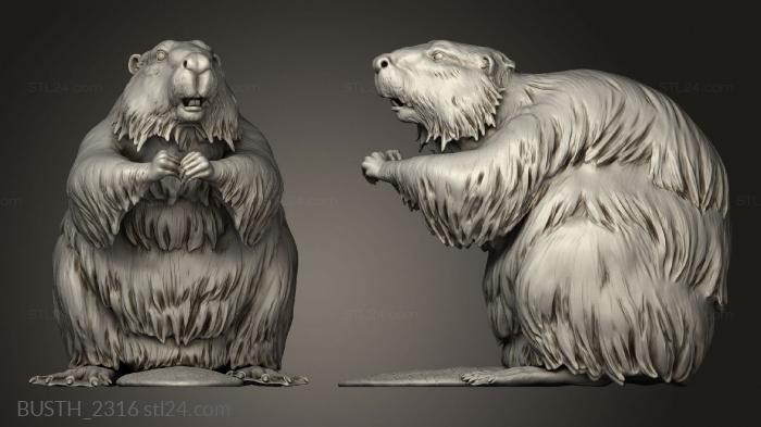 Busts of heroes and monsters (Animal American Beaver, BUSTH_2316) 3D models for cnc