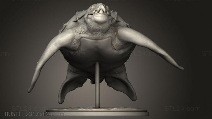 Busts of heroes and monsters (Animal Leatherback Sea Turtle leatherback swim, BUSTH_2317) 3D models for cnc