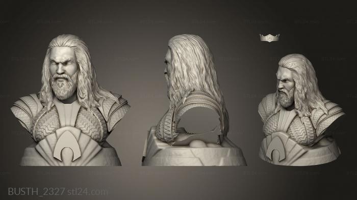 Busts of heroes and monsters (Aquaman, BUSTH_2327) 3D models for cnc