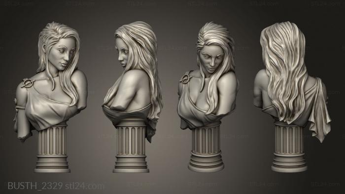 Busts of heroes and monsters (Artisan Guild AMAZONS bies Venus, BUSTH_2329) 3D models for cnc