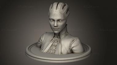 Busts of heroes and monsters (Asari, BUSTH_2330) 3D models for cnc