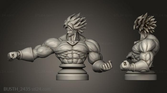 Busts of heroes and monsters (Broly dragon ball, BUSTH_2435) 3D models for cnc