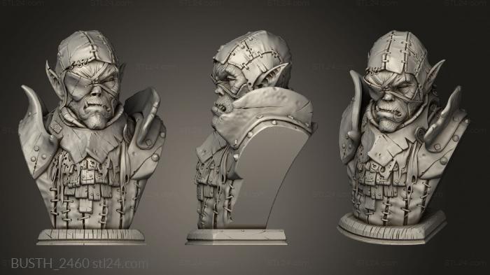 Busts of heroes and monsters (Bust David Ostmanc Reaver, BUSTH_2460) 3D models for cnc