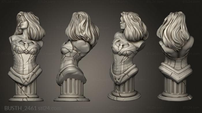 Busts of heroes and monsters (Bust David Ostman Wonder Woman, BUSTH_2461) 3D models for cnc