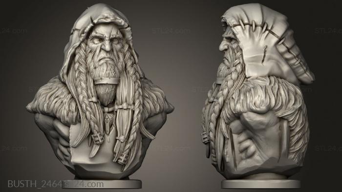 Busts of heroes and monsters (Bust Druid, BUSTH_2464) 3D models for cnc
