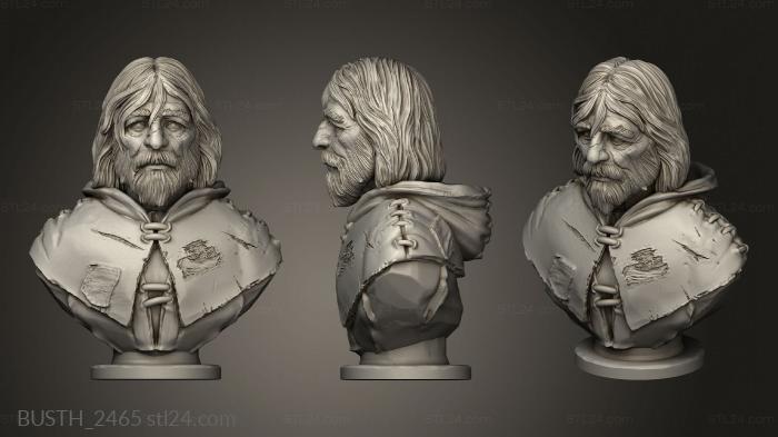 Busts of heroes and monsters (Bust Fer Aged, BUSTH_2465) 3D models for cnc