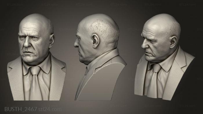 Busts of heroes and monsters (Bust Hank, BUSTH_2467) 3D models for cnc