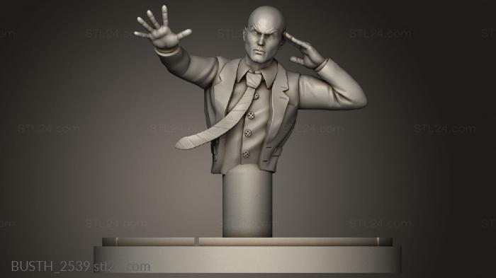 Busts of heroes and monsters (C Terrain Professor master Prof, BUSTH_2539) 3D models for cnc