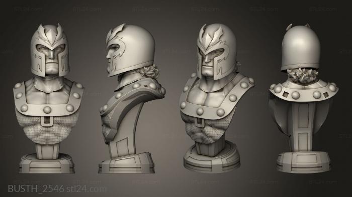 Busts of heroes and monsters (Campbells Magneto, BUSTH_2546) 3D models for cnc