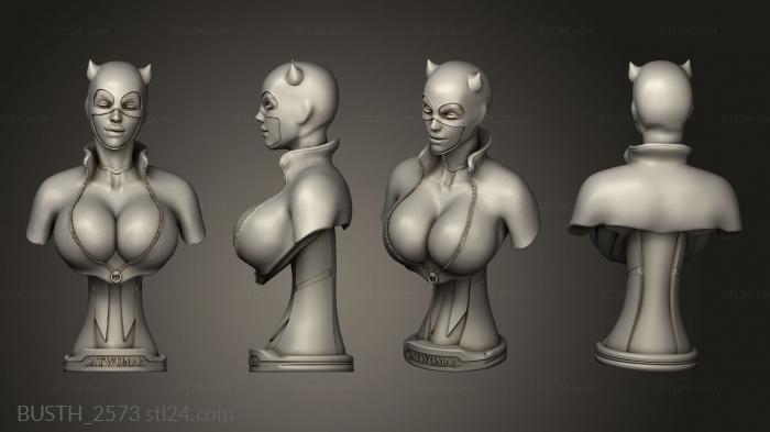 Busts of heroes and monsters (Catwoman, BUSTH_2573) 3D models for cnc
