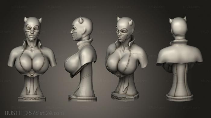 Busts of heroes and monsters (Catwoman, BUSTH_2576) 3D models for cnc
