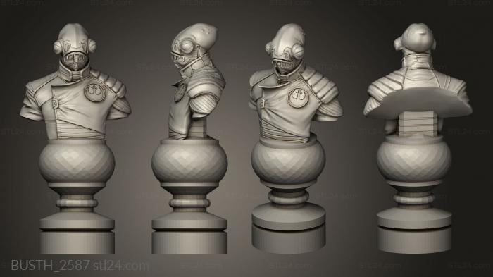 Busts of heroes and monsters (Chess Star Wars, BUSTH_2587) 3D models for cnc