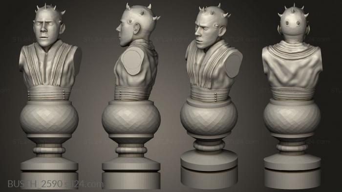 Busts of heroes and monsters (Chess Star Wars, BUSTH_2590) 3D models for cnc