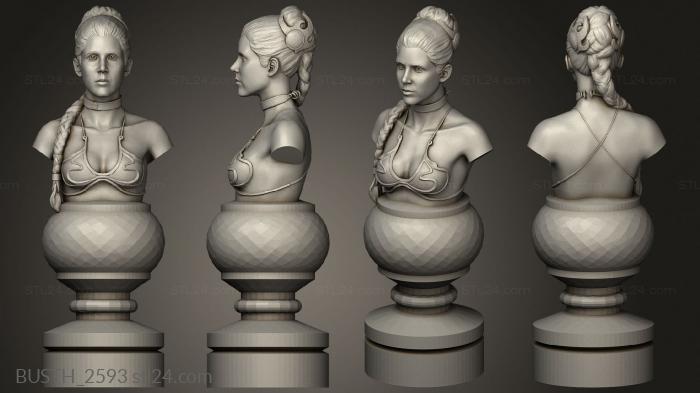 Busts of heroes and monsters (Chess Star Wars, BUSTH_2593) 3D models for cnc