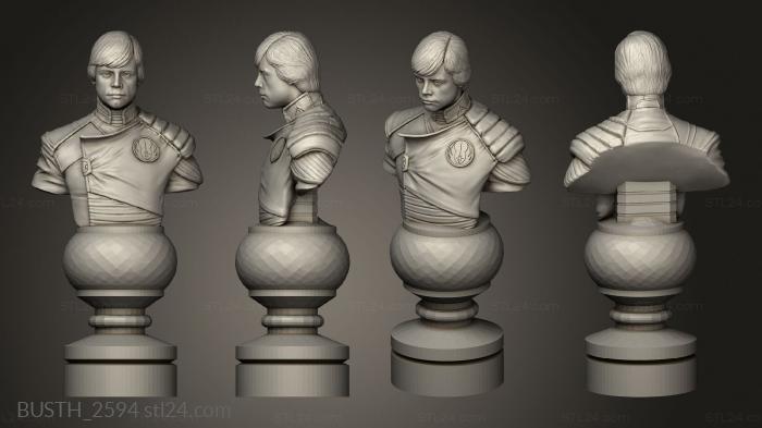 Busts of heroes and monsters (Chess Star Wars, BUSTH_2594) 3D models for cnc