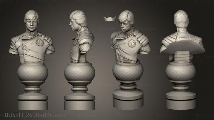 Busts of heroes and monsters (Chess Star Wars, BUSTH_2600) 3D models for cnc