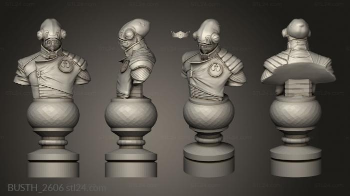 Busts of heroes and monsters (Chess Star Wars, BUSTH_2606) 3D models for cnc