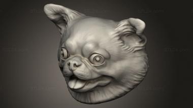 Busts of heroes and monsters (chihuahua named jai, BUSTH_2614) 3D models for cnc