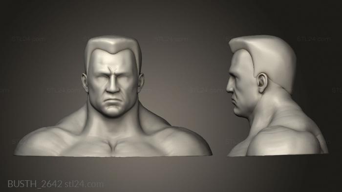 Busts of heroes and monsters (colossus, BUSTH_2642) 3D models for cnc