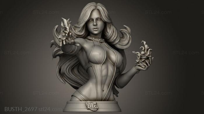 Busts of heroes and monsters (DC ire stellar, BUSTH_2697) 3D models for cnc