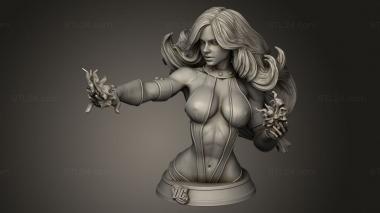 Busts of heroes and monsters (DC ire stellar, BUSTH_2697) 3D models for cnc