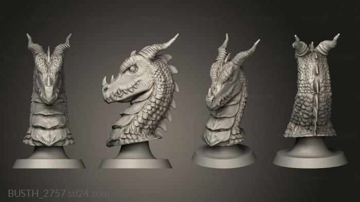 Busts of heroes and monsters (Dragon Pawn, BUSTH_2757) 3D models for cnc