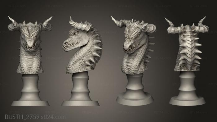 Busts of heroes and monsters (Dragon Rook, BUSTH_2759) 3D models for cnc