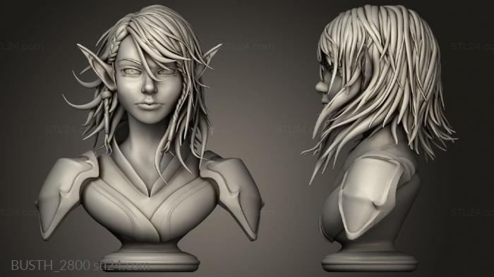 Busts of heroes and monsters (Elf, BUSTH_2800) 3D models for cnc