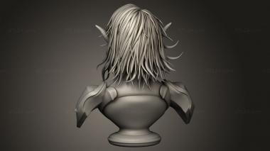 Busts of heroes and monsters (Elf, BUSTH_2800) 3D models for cnc