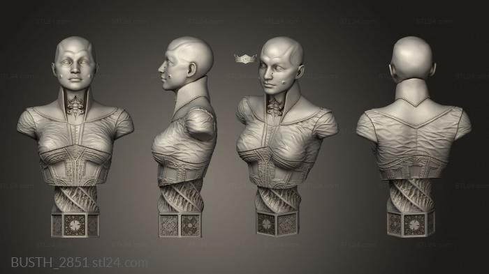 Busts of heroes and monsters (Female Cenobite, BUSTH_2851) 3D models for cnc