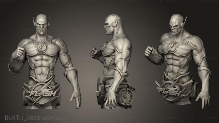 Busts of heroes and monsters (Flash, BUSTH_2866) 3D models for cnc