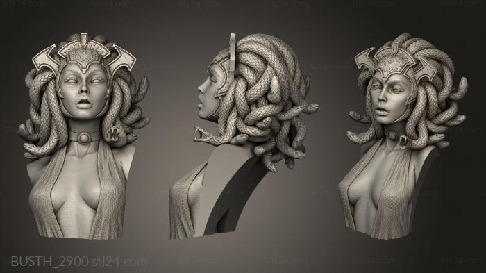 Busts of heroes and monsters (Гной Odyssey Medusa, BUSTH_2900) 3D models for cnc