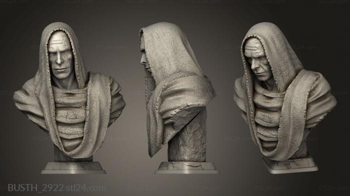 Busts of heroes and monsters (Gorr, BUSTH_2922) 3D models for cnc