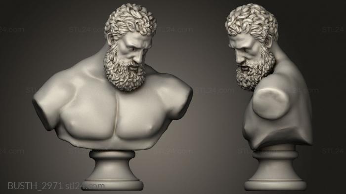 Busts of heroes and monsters (Hercules export, BUSTH_2971) 3D models for cnc