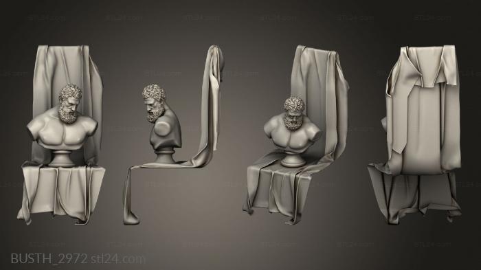 Busts of heroes and monsters (Hercules export, BUSTH_2972) 3D models for cnc